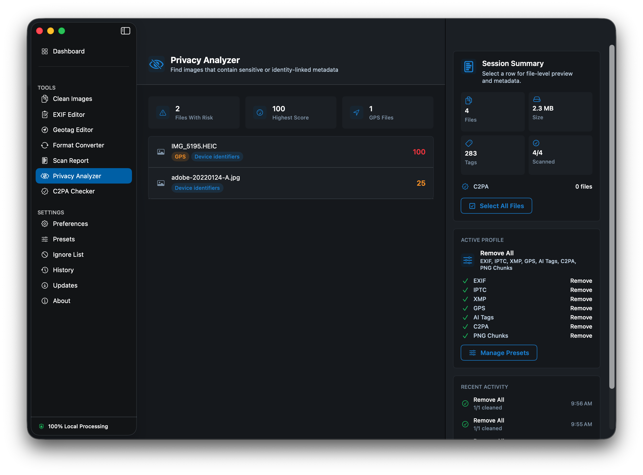 Privacy Analyzer panel showing files with risk scores and color coded risk badges